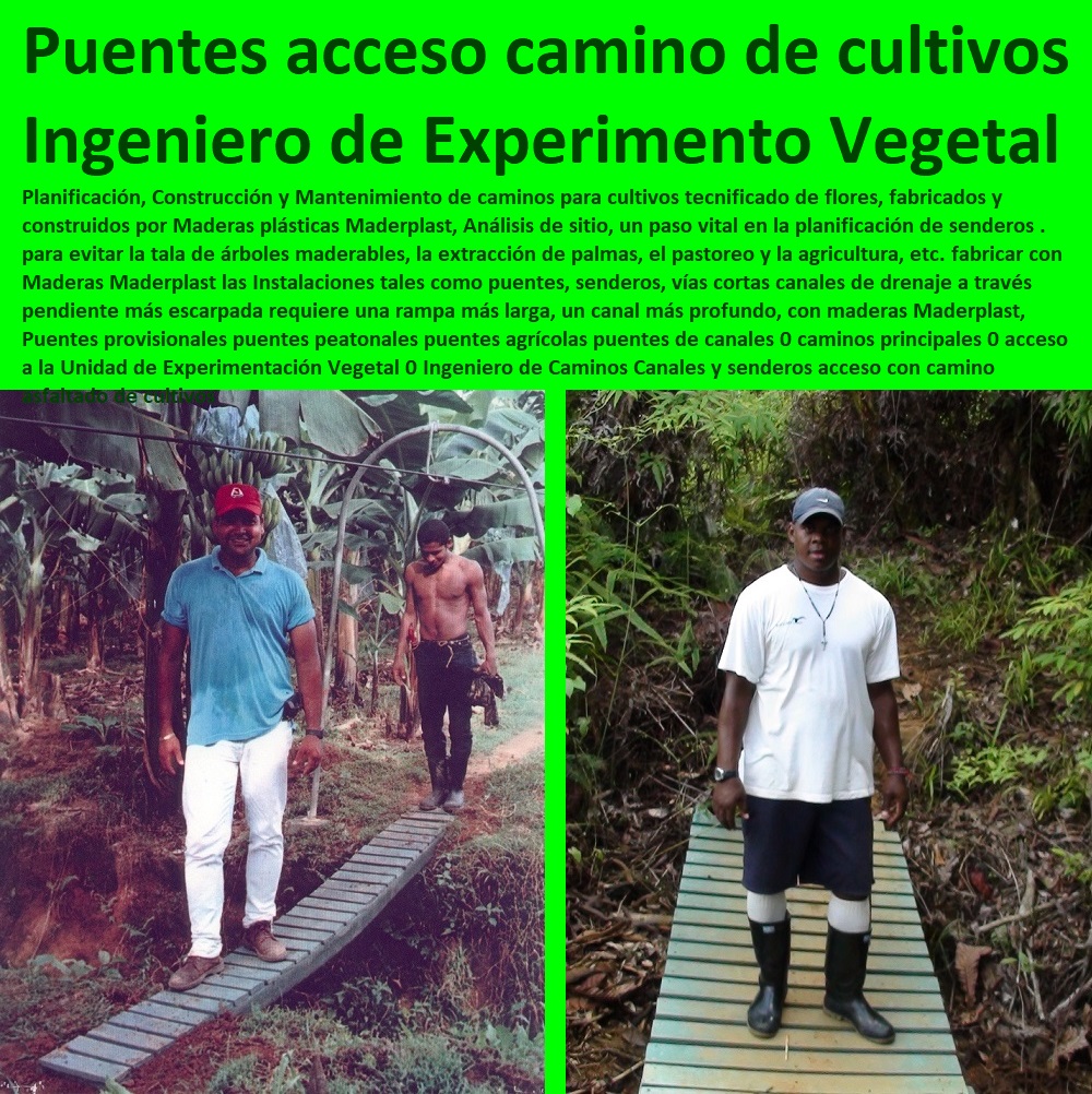 Puentes provisionales puentes peatonales puentes agrícolas puentes de canales 0 CULTIVOS TECNIFICADOS, INVERNADEROS, Semilleros, Bancos De Siembra, Hidroponía, Agricultura, Cosecha, Poscosecha, Tutores Para Flores, Cable Vía Bananas Aromáticas, caminos principales 0 acceso a la Unidad de Experimentación Vegetal 0 Ingeniero de Caminos Canales y senderos acceso con camino asfaltado de cultivos Puentes provisionales puentes peatonales puentes agrícolas puentes de canales 0 caminos principales 0 acceso a la Unidad de Experimentación Vegetal 0 Ingeniero de Caminos Canales y senderos acceso con camino asfaltado de cultivos